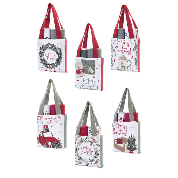 Assortimento S/2 strofinacci con borsa