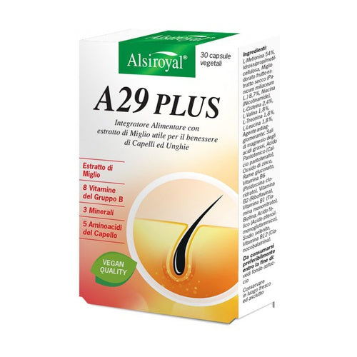 A 29 Plus