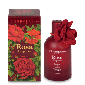 Rosa purpurea profumo
